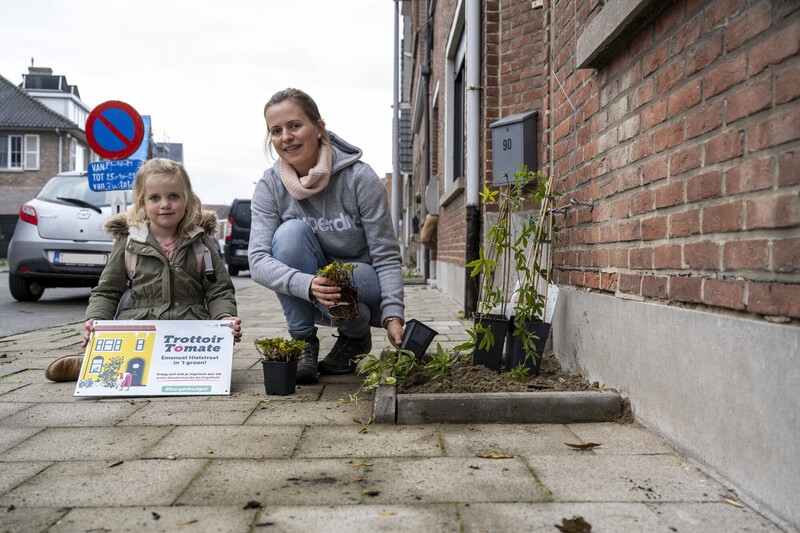 vlaams kampioenschap tegelwippen dendermonde