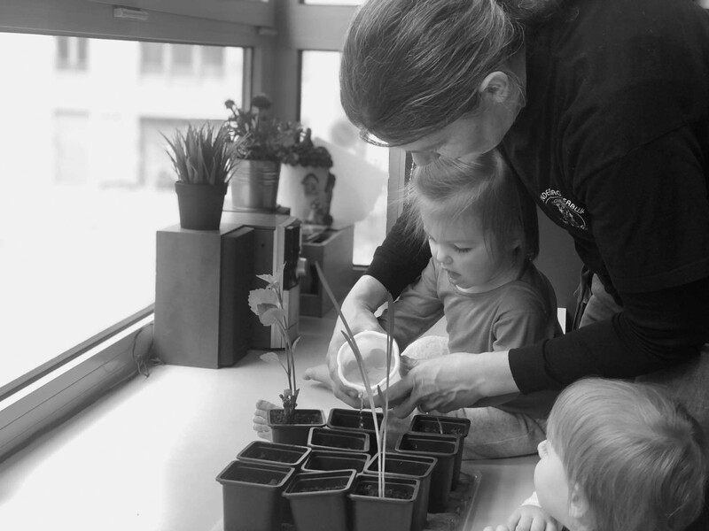 Kinderdagverblijf mistoestanden crèche kinderverzorger