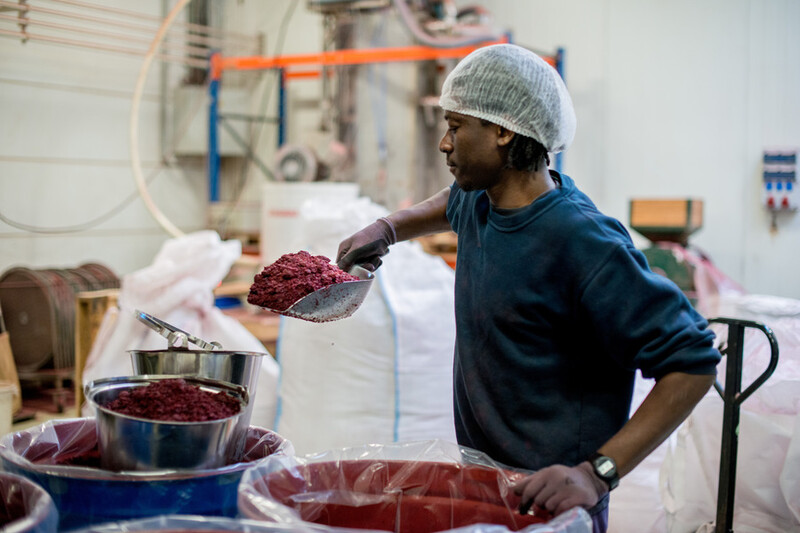 Arbeider schept vruchtenpitten uit die verwerkt worden tot hoogwaardige oliën voor cosmetica, voeding en voedingssupplementen.