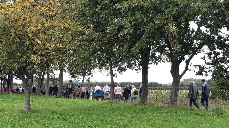 Een groep wandelt in op een Trage weg te midden van de velden.