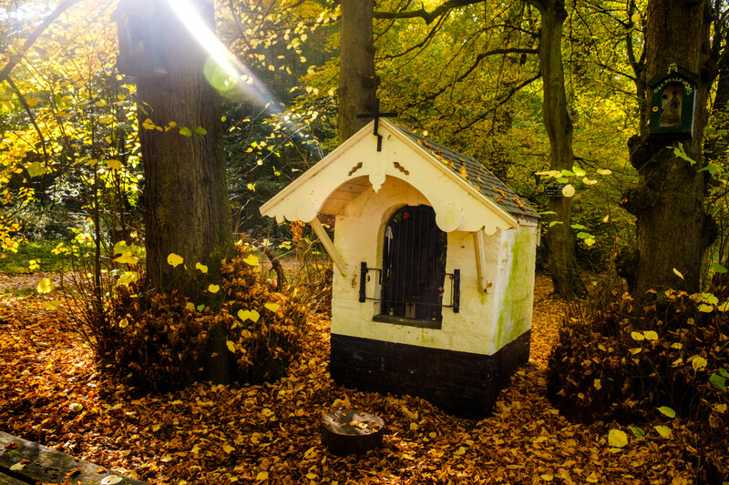 kleine kapel in herfstachtig bos met vallenden bladeren