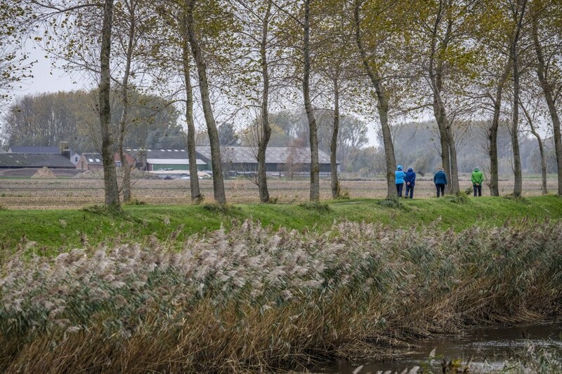 Mensen maken een wandeling in het groen naast een kanaal.