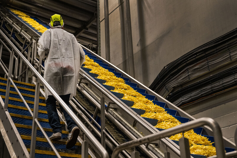 Werknemer naast een fabrieksband met ongebakken frieten