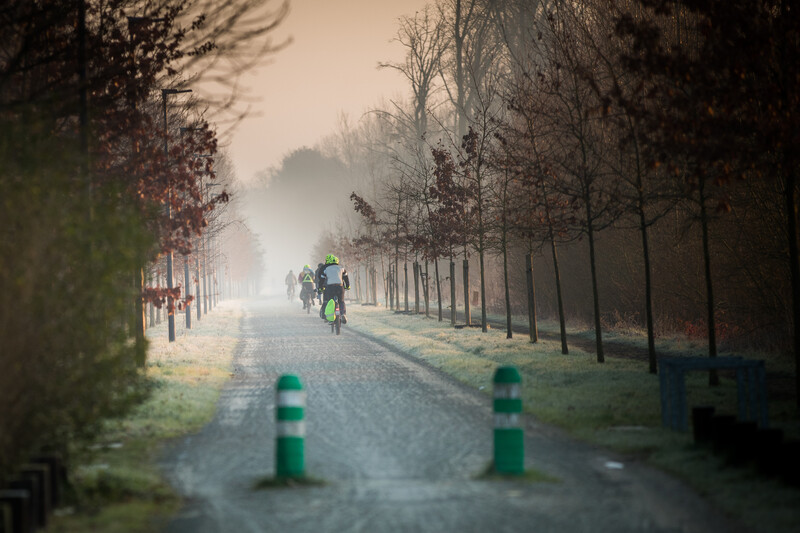 Fietsers in de ochtendmist op een fietspad door het bos