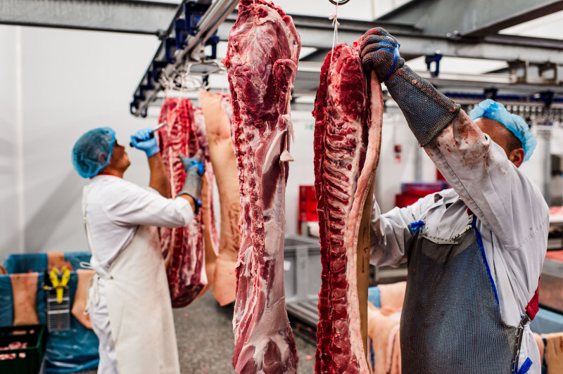 Slechters aan het werk in een slachthuis