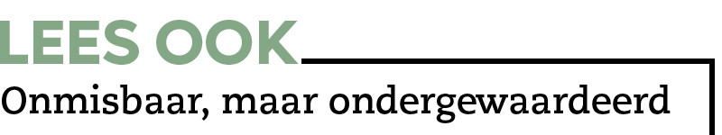 lees ook onmisbaar