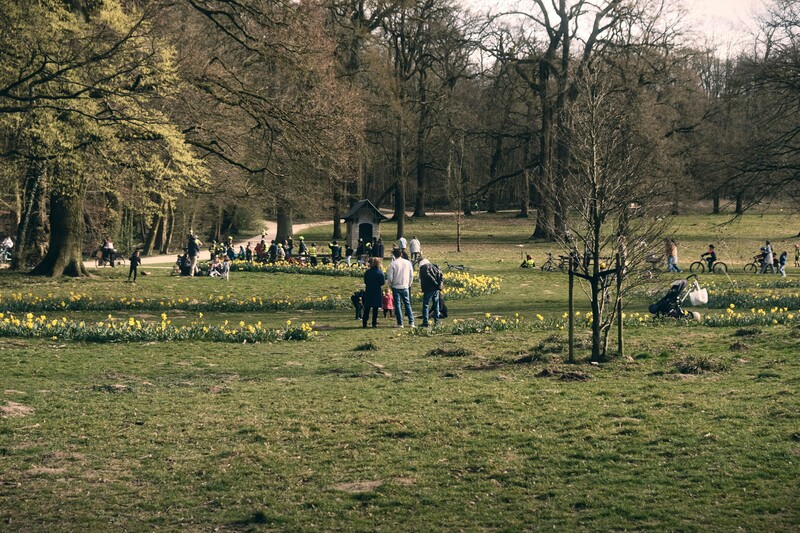 Kinderen spelen in het park